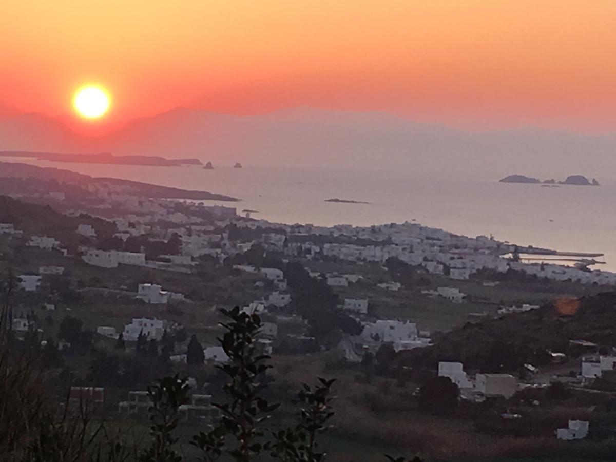 Paros Villas Nereids ภายนอก รูปภาพ